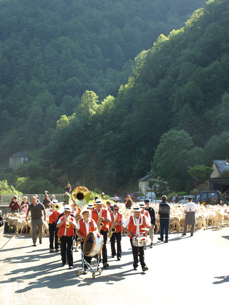 Arrivee du troupeu a Salau